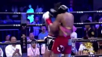 拳王猛虎在线观看,激战巅峰，热血沸腾的在线对决  第1张